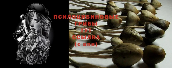молекула духа Белоозёрский