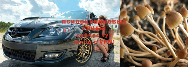мдпв Беломорск