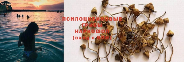 метамфетамин Белокуриха