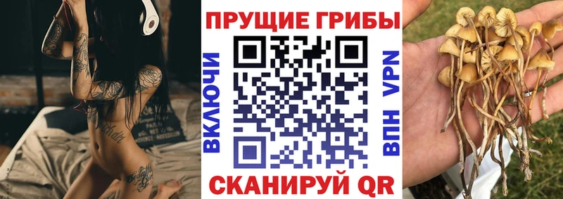 Галлюциногенные грибы GOLDEN TEACHER  сколько стоит  мега как зайти  Велиж 